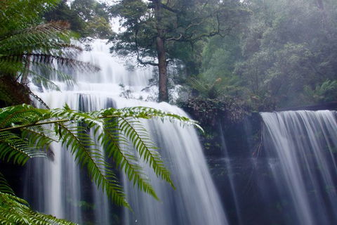 Mt. Field National Park And Bonorong Wildlife Park - Accommodation Fremantle 1
