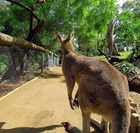 Wilderness and Wildlife - Accommodation Fremantle