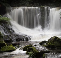 Mt Field National Park premium private photo-oriented day tour from Hobart - Accommodation Fremantle