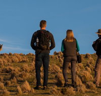 Small Group Tasmanias Wilderness And Wildlife Day Tour - Accommodation Fremantle