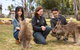Bonorong Wildlife Park And Richmond Afternoon Tour From Hobart - thumb 0
