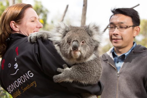 Bonorong Wildlife Park And Richmond Afternoon Tour From Hobart - Accommodation Fremantle 7