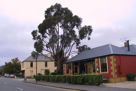 Bonorong Wildlife Park And Richmond Afternoon Tour From Hobart - Accommodation Fremantle 8