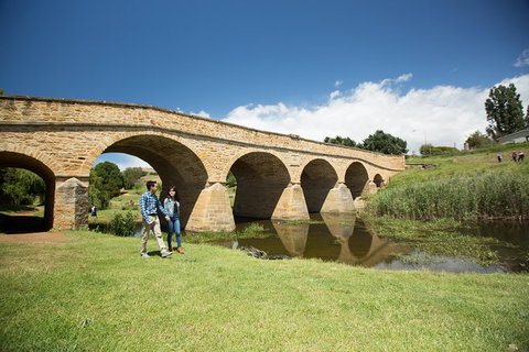 Bonorong Wildlife Park And Richmond Afternoon Tour From Hobart - Accommodation Fremantle 5