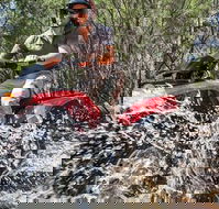 Quad Bike 2-Hour Adventure Freycinet National Park - Accommodation Fremantle