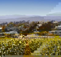 Josef Chromy Wines Winery Tour Including Tasting and Lunch - Accommodation Fremantle