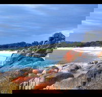 Bay of Fires Day Trip from Launceston - Accommodation Fremantle