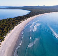 Maria Island Cruise  Walk. Renowned day tour with drinks and guided walk - Accommodation Fremantle