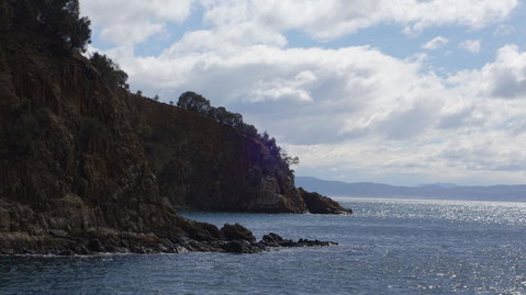 The Peppermint Bay Lunch Cruise From Hobart - Accommodation Fremantle 3