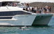The Peppermint Bay Lunch Cruise From Hobart - thumb 0