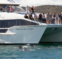 The Peppermint Bay Lunch Cruise from Hobart - Accommodation Fremantle