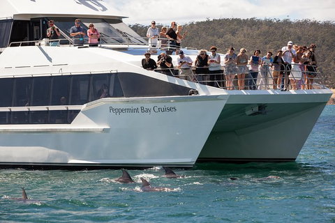 The Peppermint Bay Lunch Cruise From Hobart - Accommodation Fremantle 0