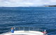 The Peppermint Bay Lunch Cruise From Hobart - thumb 2