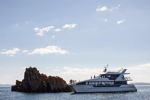 The Peppermint Bay Lunch Cruise From Hobart - Accommodation Fremantle 1