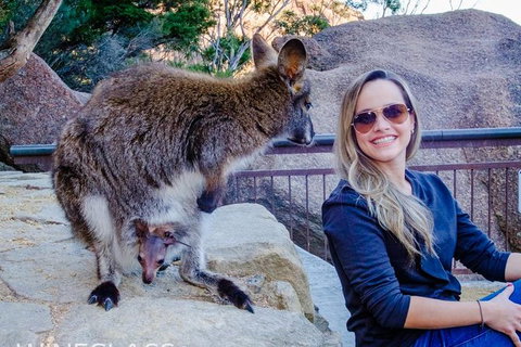 Full-Day Tour To Wineglass Bay From Hobart - Accommodation Fremantle 9