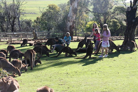 The Port Arthur MEGA Day Trip From Hobart - Accommodation Fremantle 5
