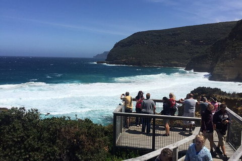 The Port Arthur MEGA Day Trip From Hobart - Accommodation Fremantle 4