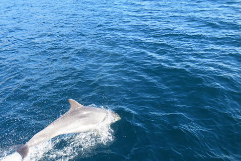 North Bruny Island Day Sail - Accommodation Fremantle 3
