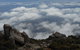 Cruise Ship Special Ex Hobart: Mt Wellington, Richmond, Bonorong With Free WiFi - thumb 15