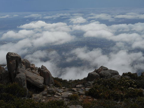 Cruise Ship Special Ex Hobart: Mt Wellington, Richmond, Bonorong With Free WiFi - Accommodation Fremantle 15