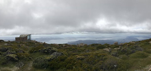 Cruise Ship Special Ex Hobart: Mt Wellington, Richmond, Bonorong With Free WiFi - Accommodation Fremantle 4