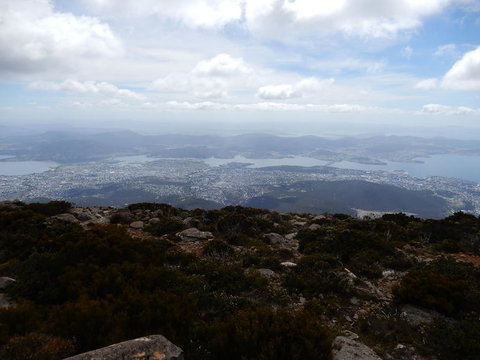 Cruise Ship Special Ex Hobart: Mt Wellington, Richmond, Bonorong With Free WiFi - Accommodation Fremantle 10