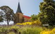 Cruise Ship Special Ex Hobart: Mt Wellington, Richmond, Bonorong With Free WiFi - thumb 18
