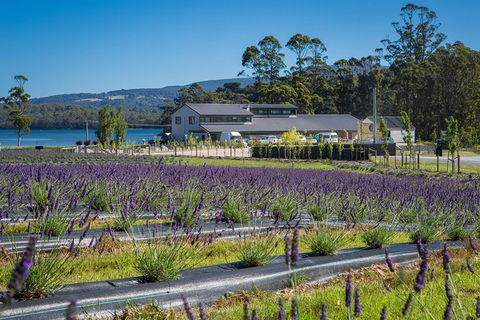 Private Tasman Peninsula Cruise Ship Tour From Port Arthur - Accommodation Fremantle 0