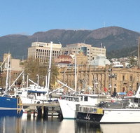 Private Mt Wellington Richmond Bonorong Wildlife Sanctuary Tour from Hobart - Accommodation Fremantle