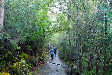 Hobart Hop-On Hop-Off Bus & Kunanyi/Mt Wellington Tour - Accommodation Fremantle 4