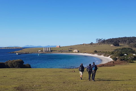 6-Day Best Of Tasmania Hiking Tour From Hobart - Accommodation Fremantle 1