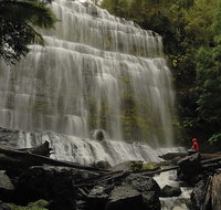 Guided Shore Excursion Mt Field National Park Salmon Ponds Bonorong Wildlife - Accommodation Fremantle