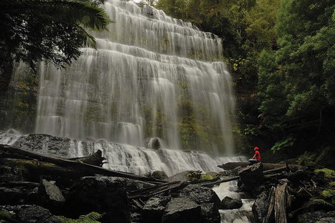 Guided Shore Excursion: Mt Field National Park Salmon Ponds Bonorong Wildlife - Accommodation Fremantle 0