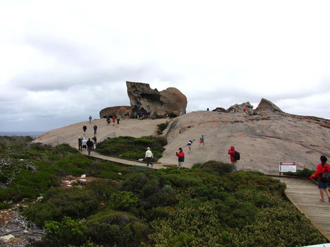 Kangaroo Island In A Day Tour From Adelaide - Accommodation Fremantle 21