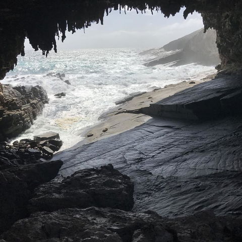 Kangaroo Island In A Day Tour From Adelaide - Accommodation Fremantle 5
