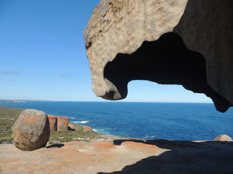 Kangaroo Island In A Day Tour From Adelaide - Accommodation Fremantle 13