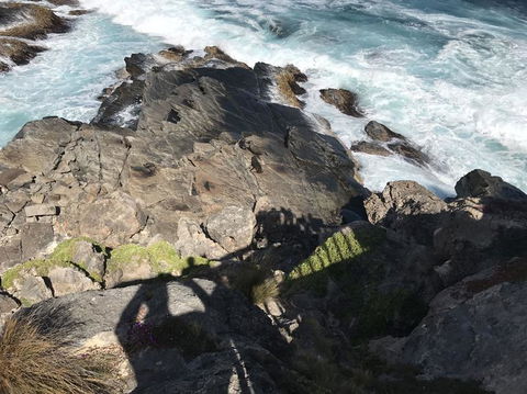 Kangaroo Island In A Day Tour From Adelaide - Accommodation Fremantle 3
