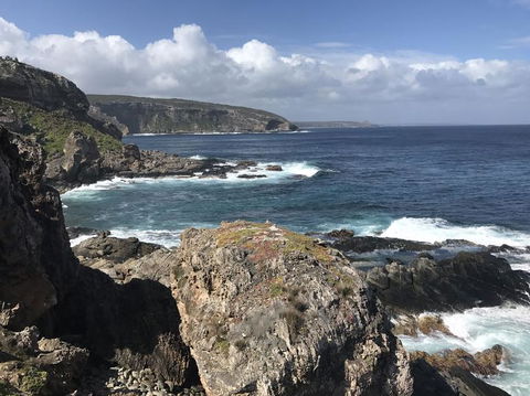 Kangaroo Island In A Day Tour From Adelaide - Accommodation Fremantle 4