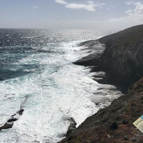 Kangaroo Island In A Day Tour From Adelaide - Accommodation Fremantle 6