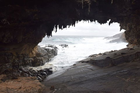 Kangaroo Island In A Day Tour From Adelaide - Accommodation Fremantle 18