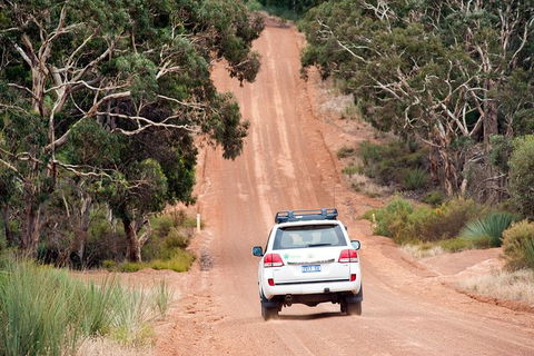 Small-Group Kangaroo Island 4WD Tour From Adelaide - Accommodation Fremantle 7