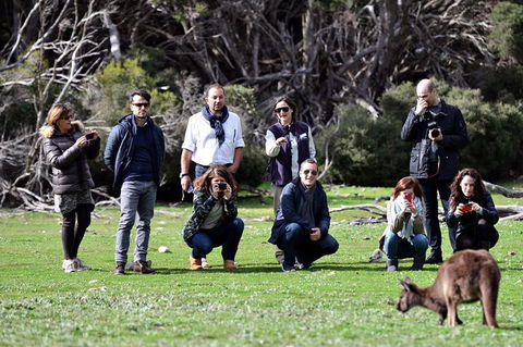 Small-Group Kangaroo Island 4WD Tour From Adelaide - Accommodation Fremantle 3