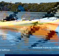 Adelaide Dolphin Sanctuary and Ships Graveyard Kayak Tour - Accommodation Fremantle