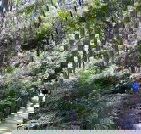 Self-Guided Waterfall Gully to Mount Lofty Hike from Adelaide - Accommodation Fremantle