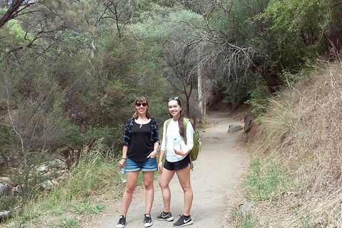 Self-Guided Waterfall Gully To Mount Lofty Hike From Adelaide - Accommodation Fremantle 4