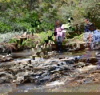 Small Group Bush Walk  BBQ with Wine Day Trip from Adelaide - Accommodation Fremantle
