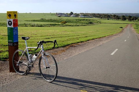 McLaren Vale Shiraz Trail Cycling Tour From Adelaide - Accommodation Fremantle 1