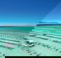 Coffin Bay Day Tour - A Taste of Coffin Bay - Accommodation Fremantle