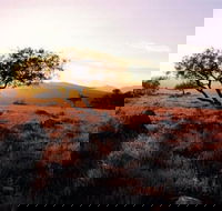 Adelaide To Coober Pedy 7 DAY SMALL GROUP 4WD SAFARI - Accommodation Fremantle