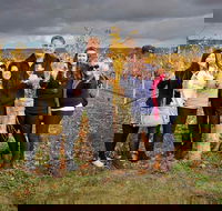 McLaren Vale Winery Small Group Tour with Wine Tasting and Lunch - Accommodation Fremantle